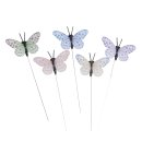 Papier-Schmetterlinge, 5cm ø, bunt, Box 5 Stück