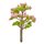 Baum blühend, 5,5 cm, 1 Stück