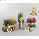 Sperrholzplatten m. Vorlagen- Gartendeko, natur, 300x200x4mm, 4 Platten, Beutel 1Set