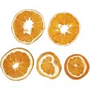 Orangenscheiben getrocknet, 40-60 mm ø, 5 Stk.
