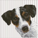 Diamond Dotz® Hund, Me??,  31x31 cm, 1 Set