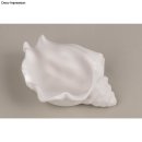 Silikon Gießform Schale Schneckenmuschel, 14,8x10x6,3cm