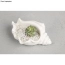 Silikon Gießform Schale Schneckenmuschel, 14,8x10x6,3cm