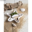 Holz Streuteile Fische, FSC Mix Credit, natur, 4-6cm, sortiert, SB-Btl. 16Stück