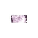 Swarovski Schmuck-Accessoires, violett, rund, 2 Ösen, 11 mm, Dose 9 Stück