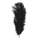 Straußenfeder, schwarz, 30 cm, 1 Stück