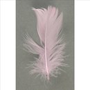 Dekofeder, rosé, 5-10 cm, 5 g